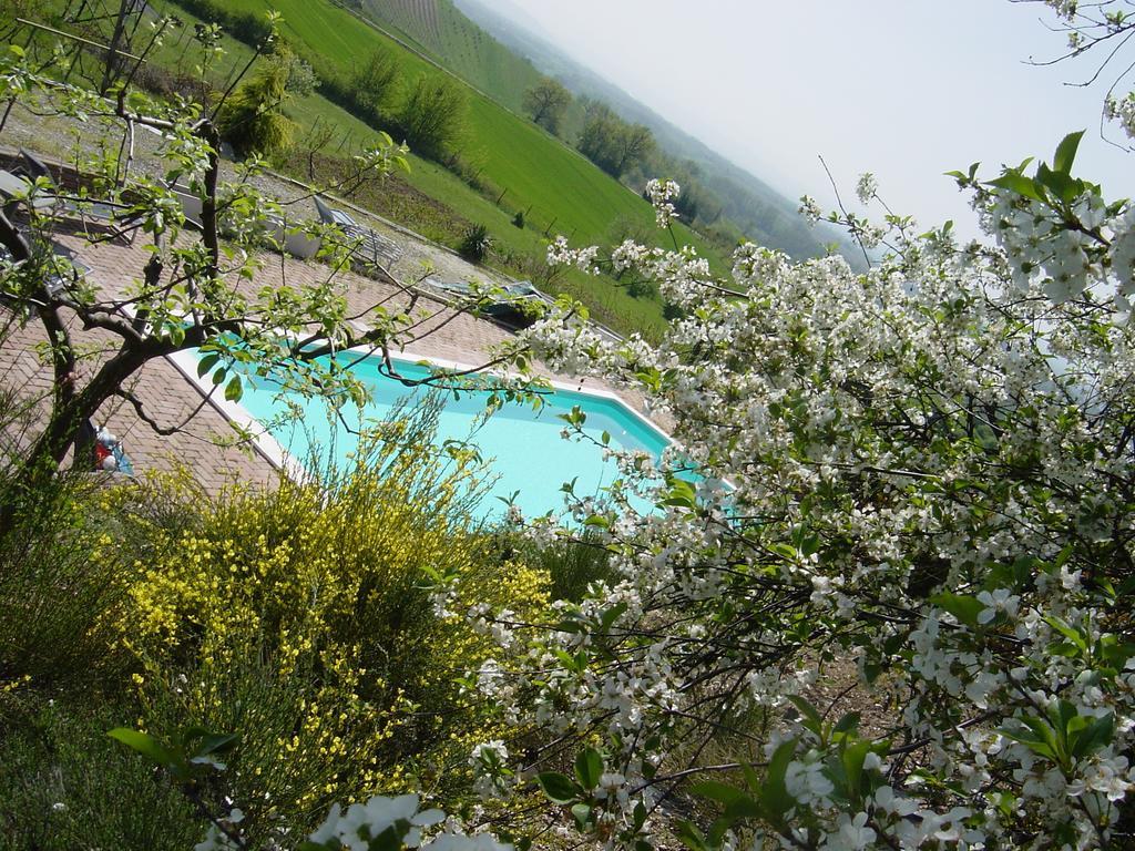 B&B Di Spineto Villaromagnano エクステリア 写真